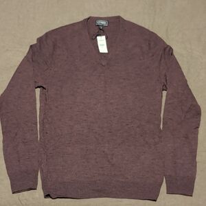Express Men's V-Neck Sweater in Rich Brown